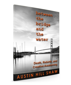 Between-the-bridge-and-the-water austin hill shaw